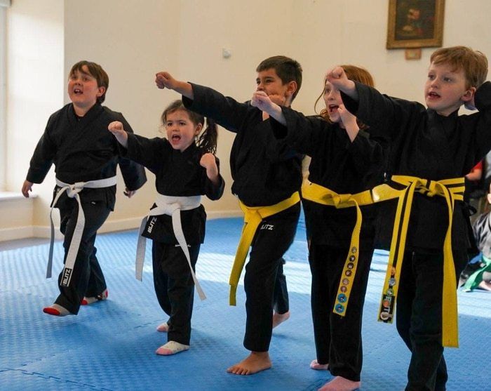 Our Little Dragons Porthmadog Karate Programme is the first step to your child's success!
